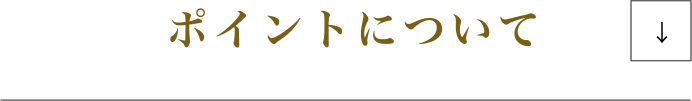 ポイントについて