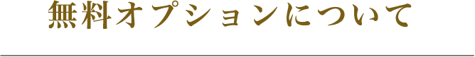 無料オプションについて